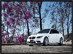 Białe, Bmw M3 Coupe